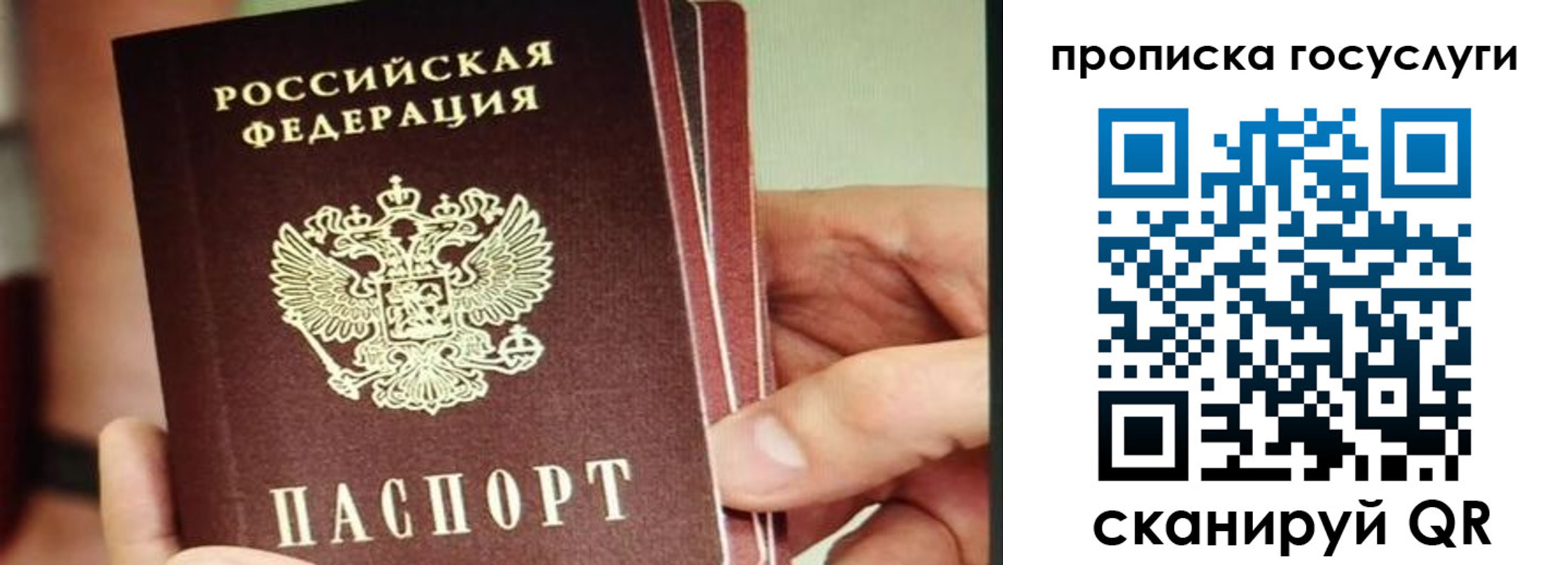 пропишу в квартире в Снежногорске